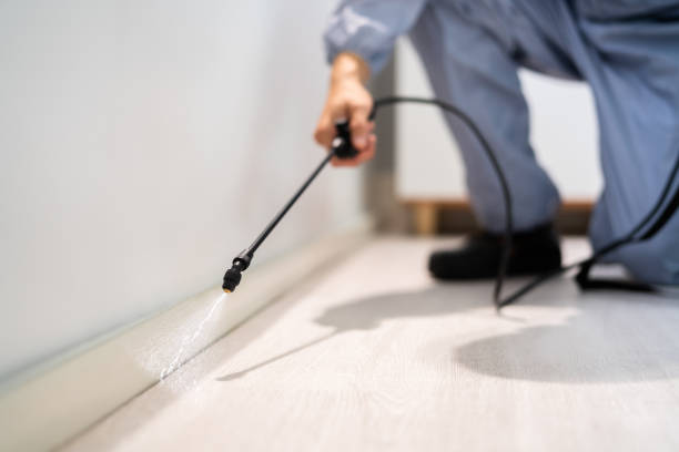 Licensed Rodent Control service in Brule County County, SD - Nex Pest Control